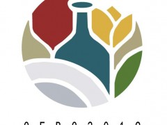 2019й죩ʾƲ